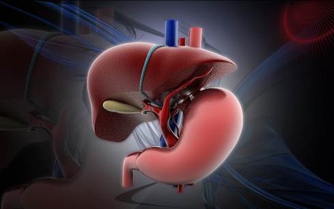 Nóng gan, chớ xem thường