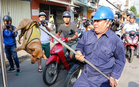 Rọ mõm chó cháy hàng trên chợ mạng