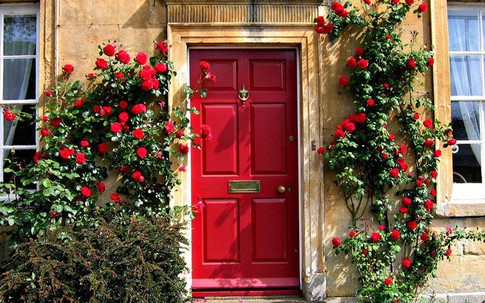 Muôn kiểu cửa nhà có hoa khiến ai ai đi qua cũng phải ngoái nhìn
