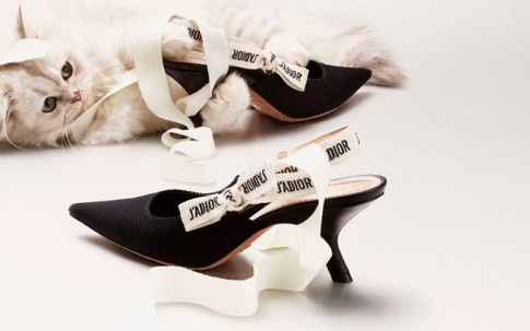 Đây mới thực sự là mẫu giày nàng công sở cần lưu tâm nhất mùa hè này