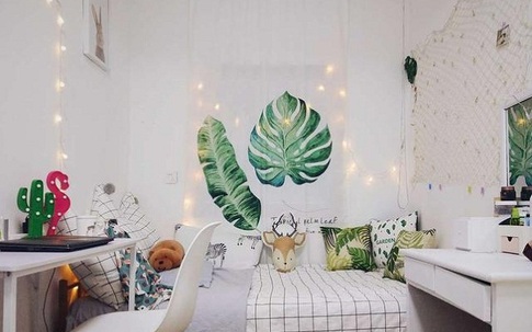 Cô gái bị chê cười vì thuê phòng trọ bẩn hẹp, sửa xong ai cũng kinh ngạc muốn dọn vào