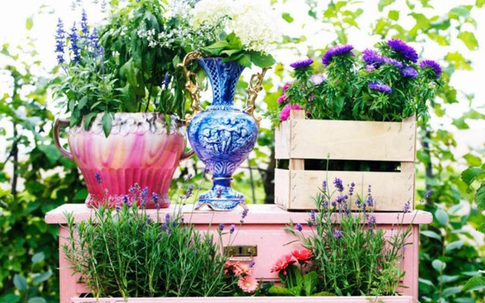20 cách tạo luống hoa đẹp như chốn mê cung cho khu vườn