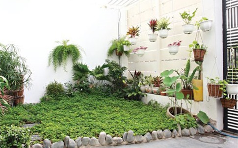 Những mẹo phong thủy giúp bạn tha hồ phát tài, may mắn vào dịp cuối năm sắp Tết