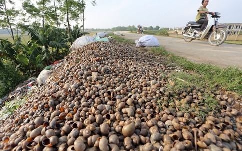 5 loài bị cấm, người Việt vẫn nuôi và mua bán