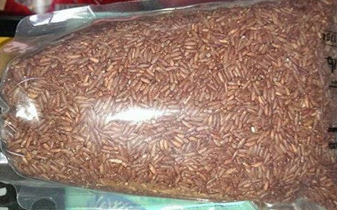 Gạo huyết nhung hươu đắt nhất thế giới: Mỗi tuần chỉ ăn 2 thìa