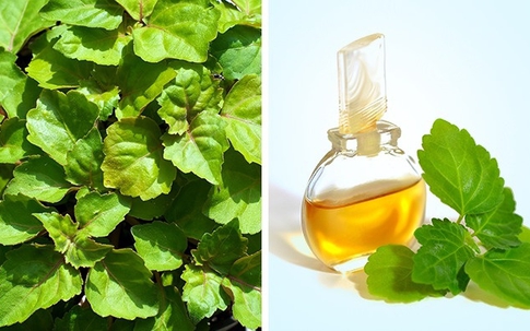 Giật mình danh sách những loại chất lỏng đắt nhất thế giới, có cả thứ bạn vẫn dùng hàng ngày