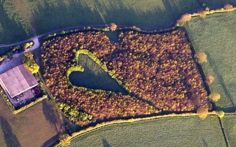 Ông lão tự tay trồng cả rừng cây tưởng nhớ vợ, 17 năm sau người ta mới phát hiện bí mật bất ngờ