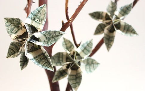 Không thèm bỏ tiền triệu, chị em tự làm cây tiền tài lộc tại nhà