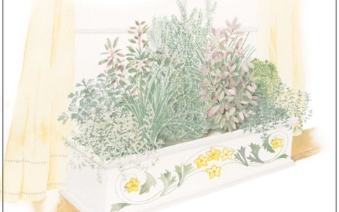 Bạn sẽ hối hận nếu bỏ qua những thiết kế sân vườn tại nhà xinh xắn này