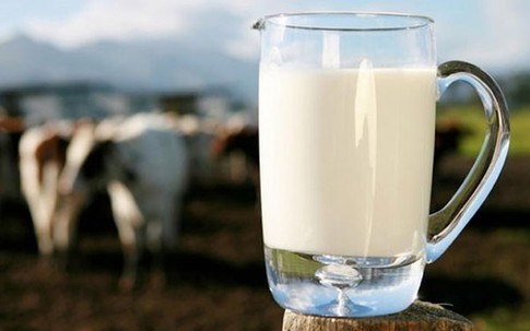 Bác sĩ nổi tiếng Nhật Bản: Uống quá nhiều sữa bò mới dẫn đến bệnh loãng xương