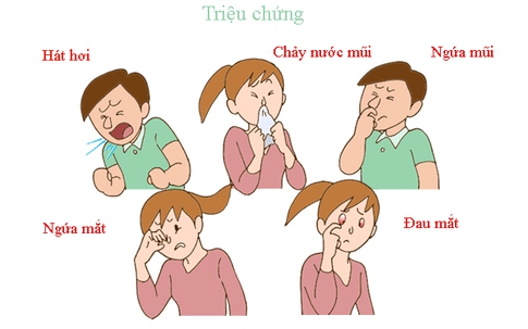 Mệt mỏi vì nhầm lẫn dị ứng với cảm lạnh