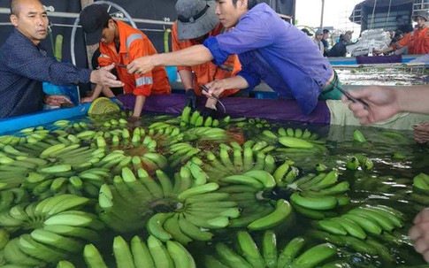 Thu nghìn tỷ từ chuối, chanh dây, bầu Đức trồng cả ớt và hồ tiêu