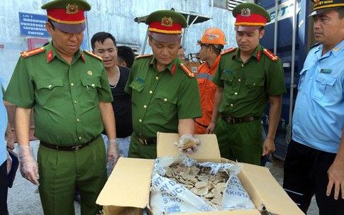 Hải Phòng: Hàng tạ vảy tê tê trong container nụ hoa hồng