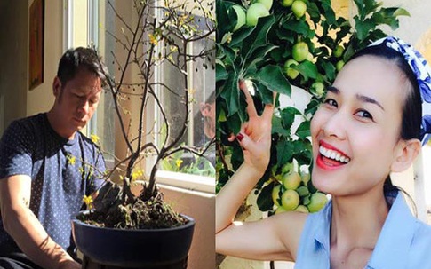 Dù chia tay nhưng Bằng Kiều và Mỹ Linh vẫn có chung một sở thích này