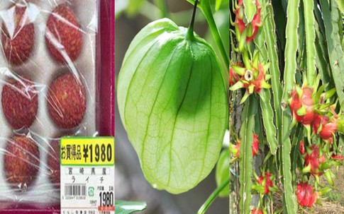 Những loại rau, quả tầm thường ở Việt Nam xuất sang Nhật lại đắt đỏ đến khó tin
