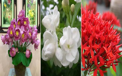 Những loại hoa "cháy hàng" tháng cô hồn vì nhà nhà đua nhau mua về cúng