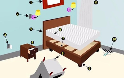 5 nguyên tắc giúp ngăn ngừa bọ rệp trong nhà