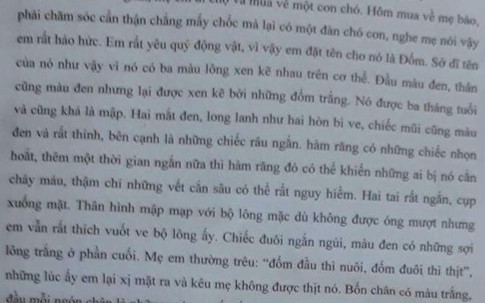 Cô giáo viết sẵn bài văn bắt cả lớp học thuộc lòng