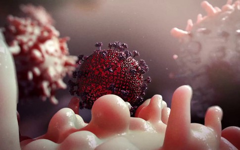 Phát hiện thuốc ngăn virus HIV sinh sản trong tế bào