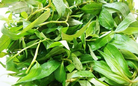 Tác dụng chữa bệnh ít biết của các loại rau thơm