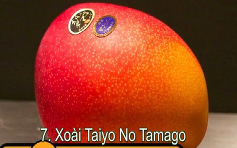 10 loại trái cây đắt đỏ nhất thế giới