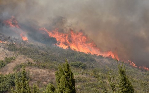Cháy rừng nghiêm trọng ở California, ít nhất 10 người chết