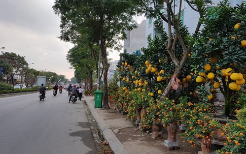 Mặt bằng bán hàng Tết: Thuê 10 m phải trả 20 triệu đồng