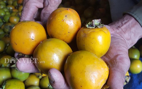 Dân nghèo biên giới Lạng Sơn "lượm" hàng chục tỷ đồng từ hồng không hạt