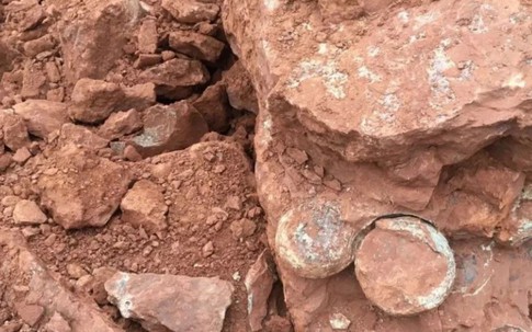 Đào đất xây dựng, phát hiện hàng loạt trứng khủng long 145 triệu năm