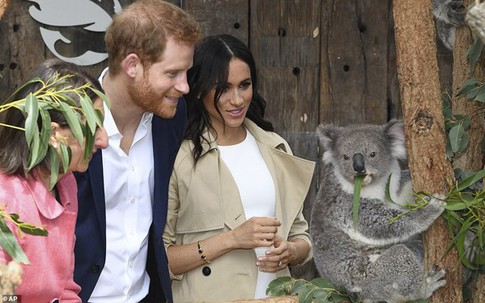 Hành động gây tranh cãi khi đang mang bầu của công nương Meghan Markle