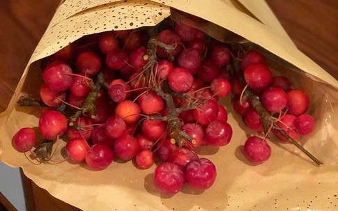 Hơn 500.000 đồng mua gì vừa đẹp vừa sang làm quà 20/10?