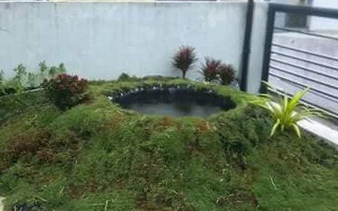 Ông bố Sài Gòn cải tạo sân thượng thành vườn sinh thái