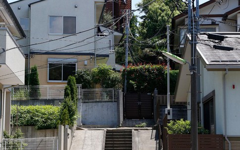 Giữa thủ đô chật chội lại có một ngôi nhà vô cùng xanh mát với cây xanh