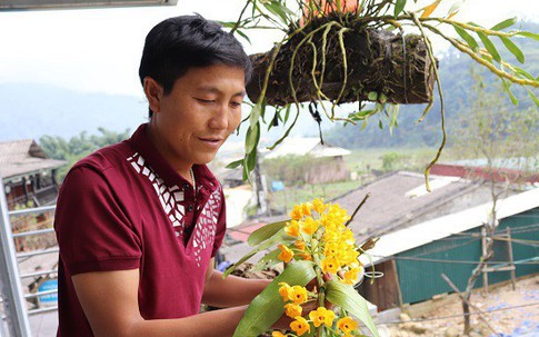 Chàng trai trai Mông xây nhà, tậu xe nhờ trồng địa lan