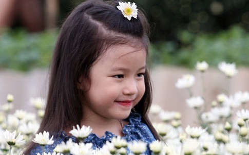 Dàn mẫu nhí cực xinh, hút vạn ánh nhìn ở vườn cúc họa mi Nhật Tân