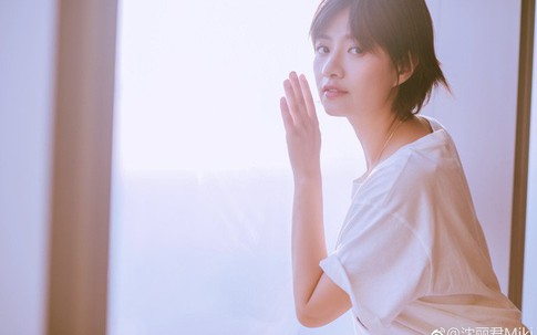 Cuộc sống của 4 sao nữ gả vào hào môn: Người vô sinh, kẻ nhảy lầu tự sát