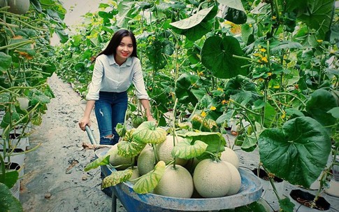 Nữ kỹ sư công nghệ làm vườn dưa lưới khiến ai cũng mê