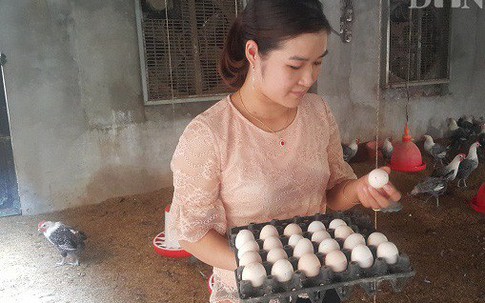 Hot girl báo chí bỏ phố về quê nuôi lợn, thả gà làm giàu