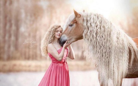 Chú ngựa trở thành "sao" trên mạng xã hội nhờ có bờm đẹp