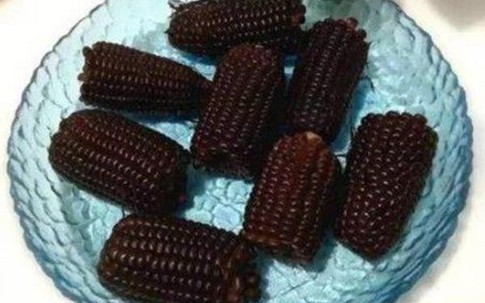 Trồng giống ngô "hắc ám", nhìn xấu xí mà đem lại 17 tỷ/năm