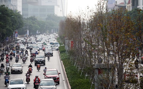 Hà Nội: Hàng phong trên đường Trần Duy Hưng chưa kịp chuyển màu đỏ đã bất ngờ héo úa