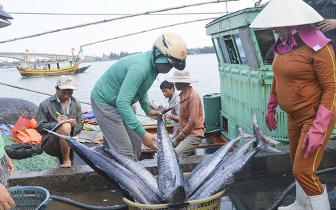 10 Luật có hiệu lực  thi hành từ ngày 1/1/2019