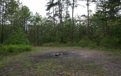 Bí ẩn vòng tròn của quỷ - nơi cây không thể mọc ở Mỹ