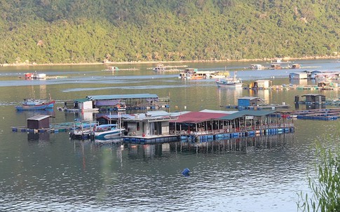 Cấm mặc cấm, các bè nổi vẫn kinh doanh trên vịnh Nha Trang
