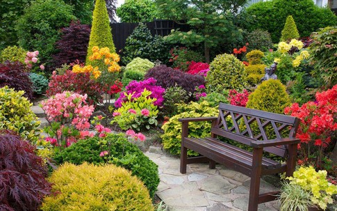 Ở cữ nhà nghèo, cô gái tức nghẹn với hành động của bố mẹ chồng