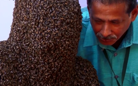 Chàng trai Ấn Độ để 60.000 con ong bu mặt