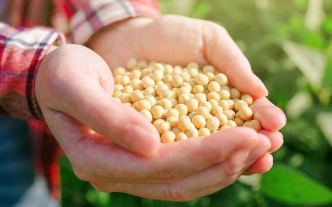 Lời khuyên của các chuyên gia dinh dưỡng để cải thiện sức khỏe trong năm mới