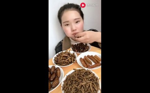 Cô gái xinh đẹp nhai bọ cạp, gián, sâu ngon lành đến kinh dị