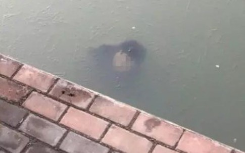 Thấy ô tô nổi giữa hồ, người đàn ông lại gần và kinh hãi khi nhìn xuống dưới làn nước đóng băng