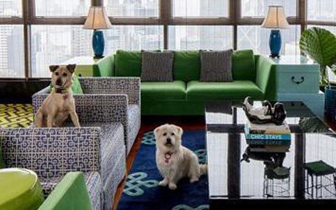 Ngôi nhà “bảy sắc cầu vồng” đẹp không tưởng mà nữ thương gia dành cho con gái